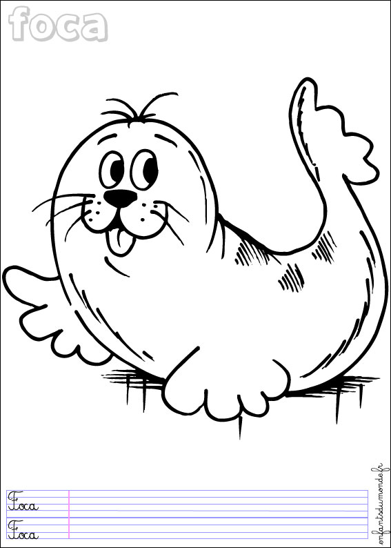 coloriage phoque 1